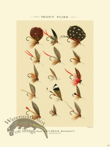 Favorite Flies 20 Trout